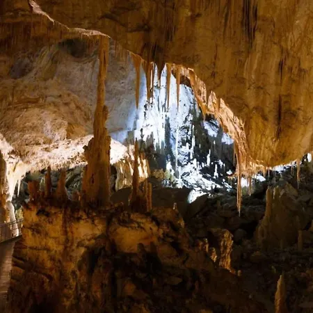 In - Marken 35804 * Urbino